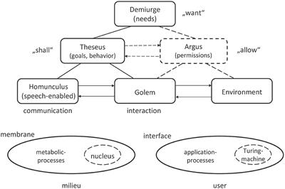 Quantum-inspired cognitive agents
